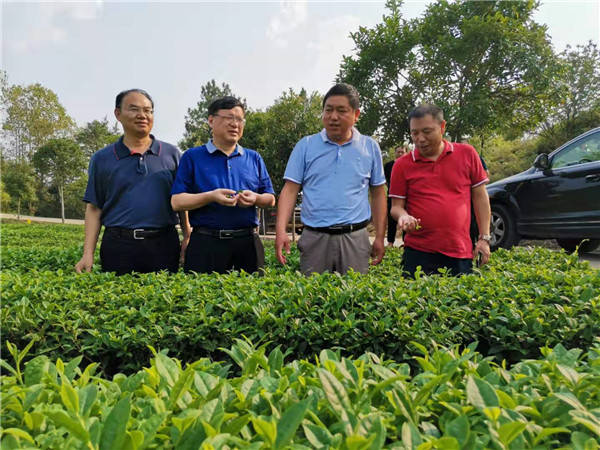 大同山林场绿色发展先锋力量最新报道