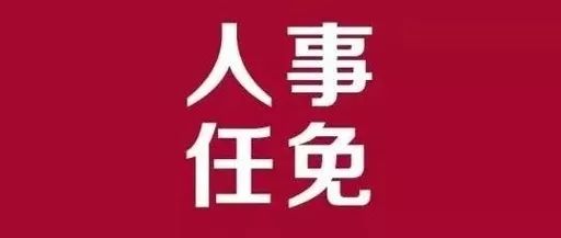 沭阳县审计局人事任命推动审计事业再上新台阶