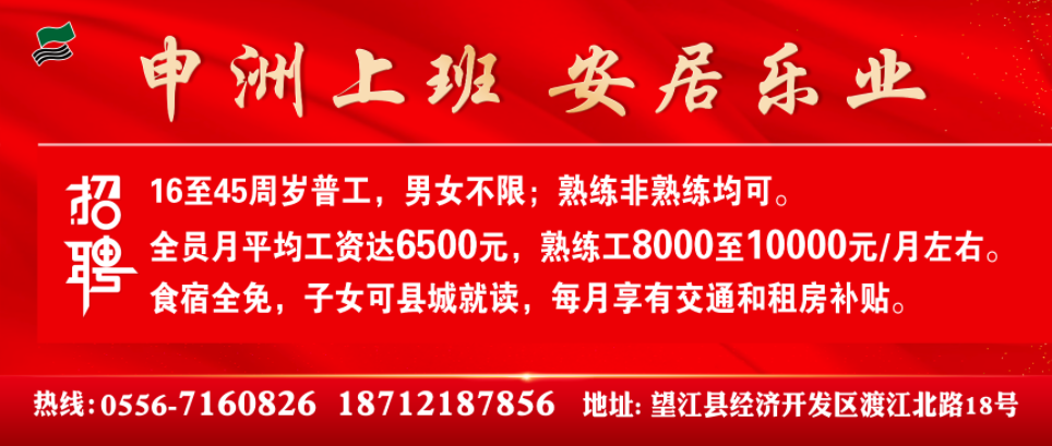 望江村最新招聘信息全面解析