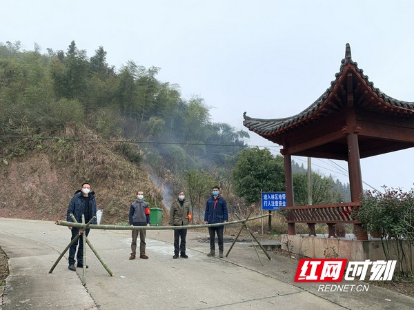 衡坪村民委员会最新项目助力乡村振兴与社区发展提速前进