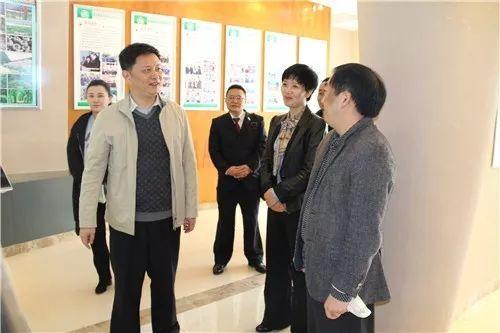 长兴县人民政府办公室最新项目概览与进展