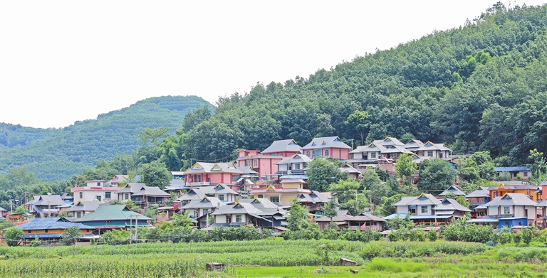 纳麦村新项目，重塑乡村未来