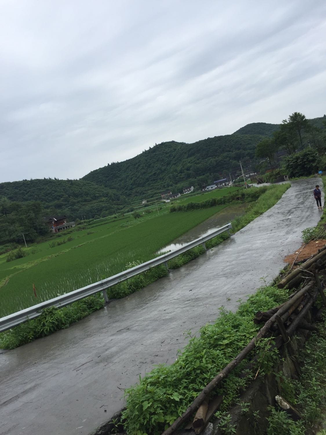 洛定村天气预报更新通知