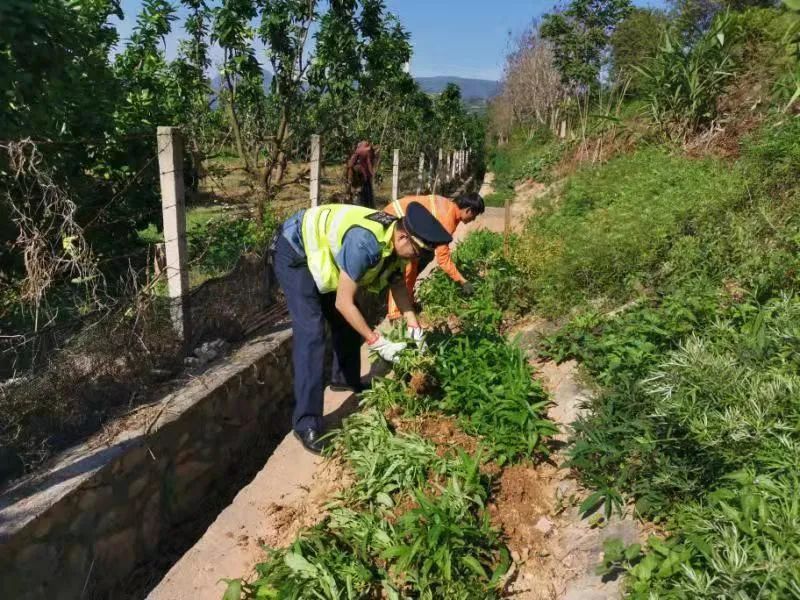 珠治村民委员会最新交通动态