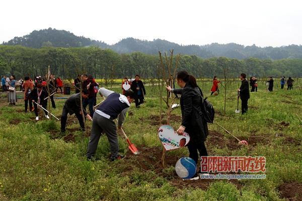 崀山镇最新资讯速递