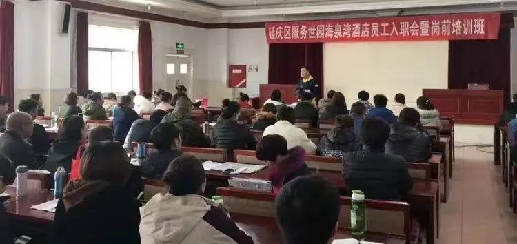 东荒峪镇最新招聘信息概述及解读