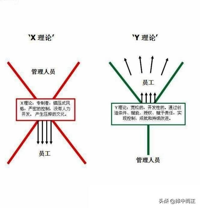 仁义镇最新招聘信息总览