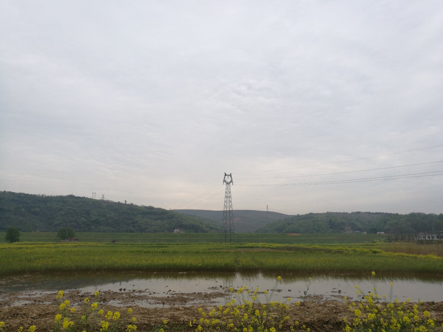 廖家湾乡最新天气预报