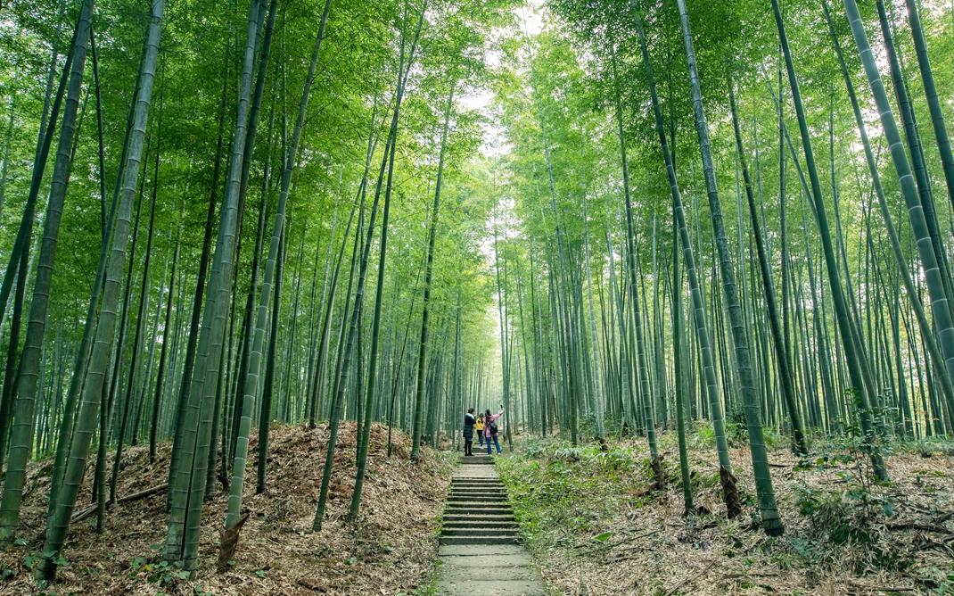 泸州市旅游局新项目启动，探索旅游新篇章