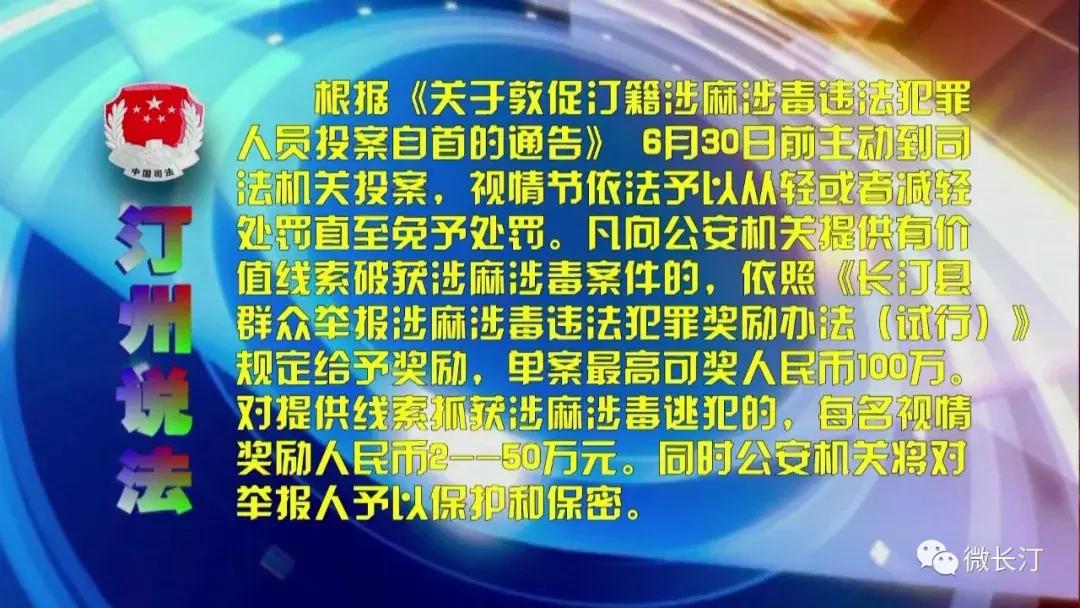 长汀镇最新新闻动态报道速递