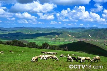 毛登牧场最新天气预报