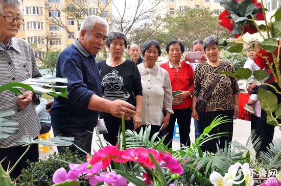 卉景社区共建美好家园，共享幸福生活最新报道