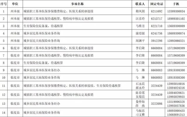 临夏市医疗保障局最新招聘细则详解